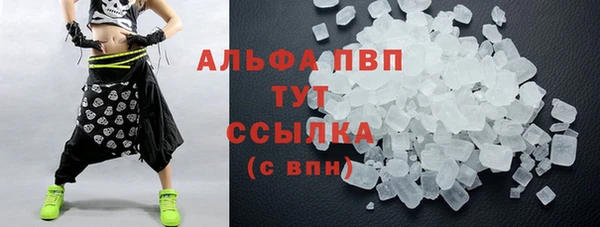 ПСИЛОЦИБИНОВЫЕ ГРИБЫ Михайлов