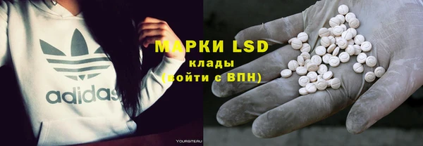ПСИЛОЦИБИНОВЫЕ ГРИБЫ Михайлов