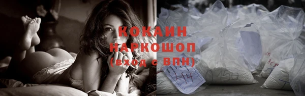 ПСИЛОЦИБИНОВЫЕ ГРИБЫ Михайлов