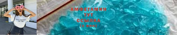 ПСИЛОЦИБИНОВЫЕ ГРИБЫ Михайлов
