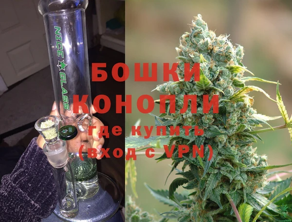 ПСИЛОЦИБИНОВЫЕ ГРИБЫ Михайлов