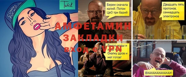 ПСИЛОЦИБИНОВЫЕ ГРИБЫ Михайлов