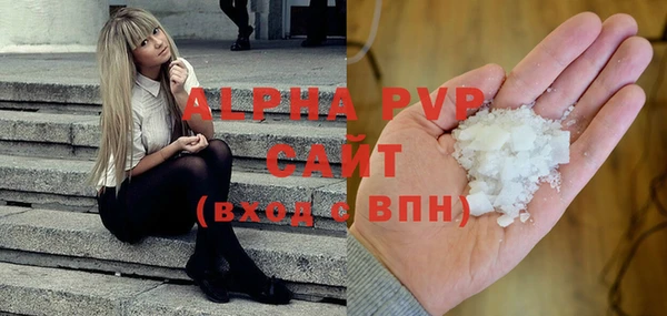 ПСИЛОЦИБИНОВЫЕ ГРИБЫ Михайлов