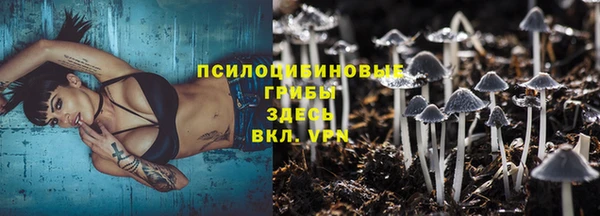 ПСИЛОЦИБИНОВЫЕ ГРИБЫ Михайлов