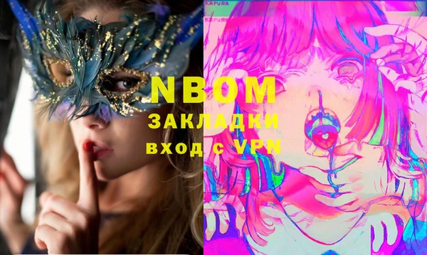 ПСИЛОЦИБИНОВЫЕ ГРИБЫ Михайлов