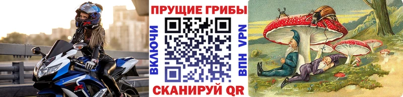 Галлюциногенные грибы прущие грибы  Ак-Довурак 