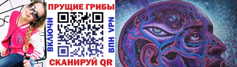 Псилоцибиновые грибы Psilocybine cubensis Ак-Довурак